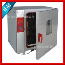 上海博迅电热鼓风干燥箱灭菌箱精密型烘箱烤箱BGZ-240