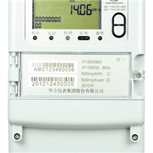 华立电表-1.0级三相多功能电能表DSSD535/DTSD545
