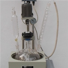 专业供应F-5L(5升）单层多功能玻璃反应釜厂家上海互佳仪器