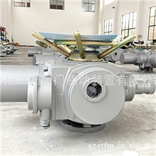 常二通阀门电动装置电动执行器电动头（户外型）DZW10