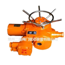 常二通阀门电动装置电动执行器电动头（隔爆型）DZWB20