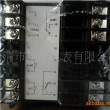 供应EKS.REX-C900,C700,C400,C100温控仪表,温控器,温控表,温控仪