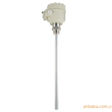 匈牙利NIVELCO电容式液物位计