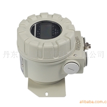 匈牙利NIVELCO现场显示器