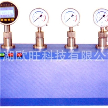 YDJ-Y电动液压校验仪/电动压力仪表校验仪/电动压力泵