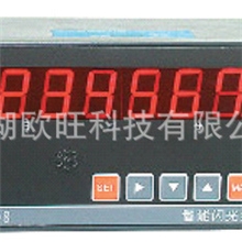 XSG智能数字闪光报警器/数字显示仪表