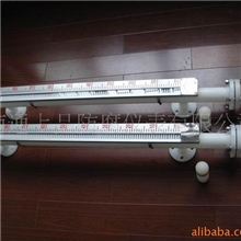 供应聚丙烯磁翻板液位计