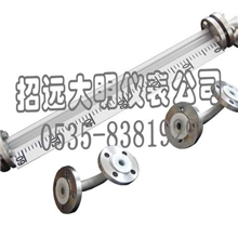 物位仪表公司直销LHG系列F46管式液位计