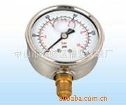 供应耐震充油压力表YN60