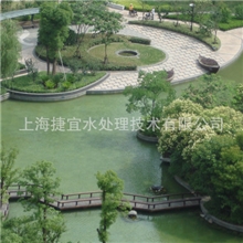 厂家供应景观水、游泳池水处理吸污设备游泳池净水设备工程