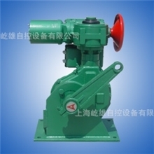 供应DKJ-410角行程电动执行机构热销仪表