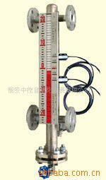 供应锅炉磁力水位仪