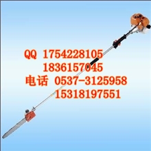 汽油高枝锯/树木修剪高枝锯/伸缩高枝锯/ZZ1