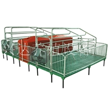 厂家直销加厚钢管母猪产床母猪分娩床高倍分娩床安装方便