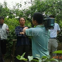 50F厂家直销专利产品烟雾机，诚招全国代理商13780882787