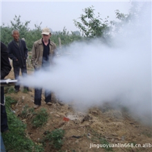 厂家直销全自动超大功率脉冲动力喷雾机，烟雾机，弥雾机，打药机