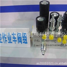 阀FVFA-XAN、FVCA-8AN、FVDA、FVEA插装阀，代设计制造集成块