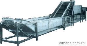 供应草莓清洗生产流水线，冷冻草莓加工设备，冷冻食品