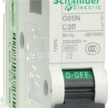 浙江施耐德C65N小型断路器D类C65N断路器动力型专业制造商