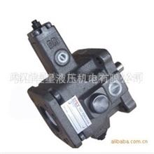 供应EALY-弋力VGPE-F30-D-PA-10型液压泵-变量泵-高低压叶片泵