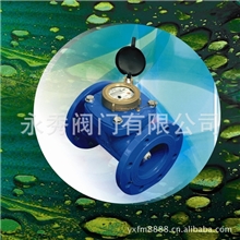 最大的水表LXLC-200可拆卸螺翼式水表