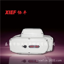 专业销售【2000NM电动执行器】XIEF-200智能调节角行程电动执行器
