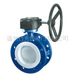 法兰衬氟蝶阀D341F46-16C-DN50-1500