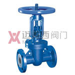 Z41F46--16C-DN250法兰衬氟闸阀不锈钢衬氟闸阀钢衬四氟闸阀