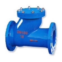 冠龙阀门滑道球形止回阀HQ41X-16Q