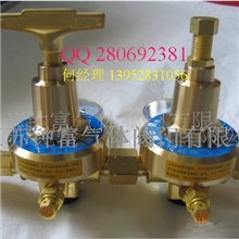 YQJ-11氧气减压器减压阀双级双表管道气体