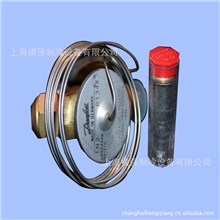 供应膨胀阀空调热力膨胀阀丹弗斯热力膨胀阀