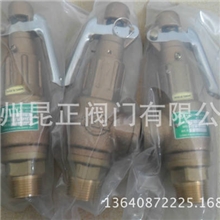 台湾317安全阀SV-B29