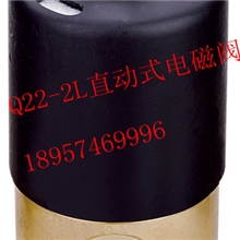 Q22XD-2L/3L/4L二位二通先导电磁阀DC12V/24VAC220V