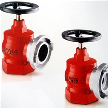 远泰消火栓SN室内消火栓上海消防网