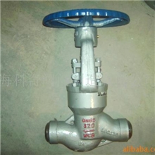 专业生产优质电站阀门化工阀门可定制非标阀门丝扣球阀