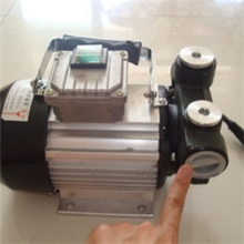 70L/MIN加油泵柴油泵