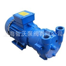 【现货供应智沃品牌】供应上海智沃牌2BV2071水环真空泵