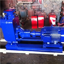 厂家直销专业生产ZW.ZX自吸泵系列（保质期1年）