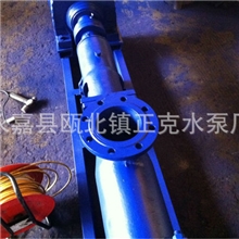 单螺杆泵|厂家直销|大流量高扬程|G85-1配减速电机|质量有保障