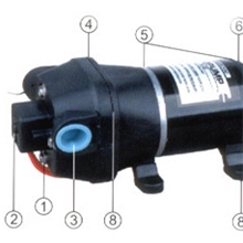 金水仙隔膜泵.大流量隔膜泵.FL-32隔膜泵电动隔膜泵直流隔膜泵