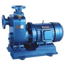 ZXY直联型自吸泵清水自吸离心泵厂家直销