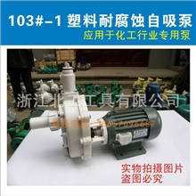 协尔成FS103-1塑料耐腐蚀自吸泵化工泵耐腐泵硫酸盐酸碱水泵