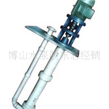 泥浆泵供应博山宏伟产DYWS系列液下泵