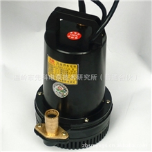 供应潜水泵直流潜水泵24v直流潜水泵直流船用潜水泵