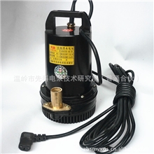 供应潜水泵48v直流潜水泵电瓶车潜水泵小型户外直流潜水泵