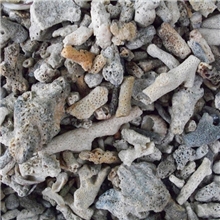 海南珊瑚石批发养殖珊瑚石厂家水族过滤器材游泳池过滤器材