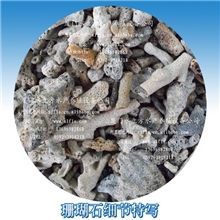 3750克海南珊瑚石鱼池净化用珊瑚砂锦鲤鱼池过滤珊瑚石游泳池