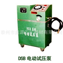 供应DSB-40电动试压泵立式试压泵