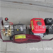 富士特机动喷雾机FST-30D担架式机动喷雾机器配30米高压喷雾管