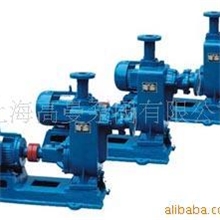 上海品牌2.2KW--ZW型自吸式无堵塞排污泵/自吸排污泵